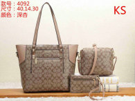 Coach Handbag (15)