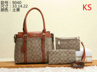 Coach Handbag (53)