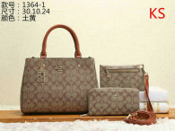 Coach Handbag (48)