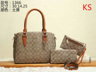 Coach Handbag (43)