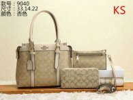 Coach Handbag (54)
