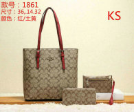 Coach Handbag (18)