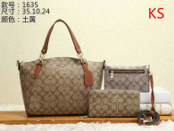 Coach Handbag (47)