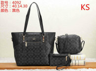 Coach Handbag (14)