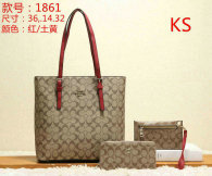 Coach Handbag (17)
