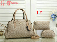 Coach Handbag (30)