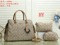 Coach Handbag (34)