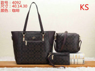Coach Handbag (12)