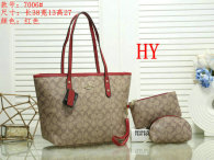Coach Handbag (24)