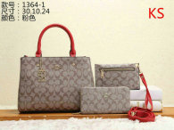 Coach Handbag (52)