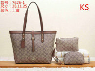 Coach Handbag (11)