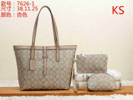 Coach Handbag (8)