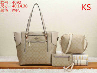 Coach Handbag (13)