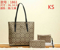 Coach Handbag (16)