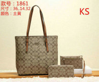 Coach Handbag (19)