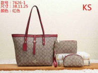 Coach Handbag (9)