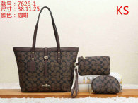 Coach Handbag (7)