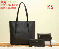 Coach Handbag (20)