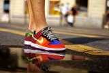 Nike SB Dunk Low (24)