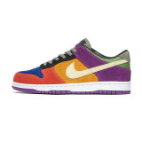 Nike SB Dunk Low (24)