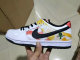 Nike SB Dunk Low (25)