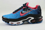 Air Max Plus Shoes - 110