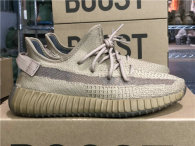 Authentic Y 350 V2 “Earth” 