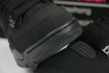 Authentic Air Jordan 4  Black Cat 2020