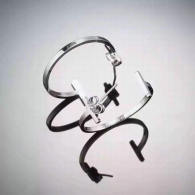 Tiffany Earrings (215)