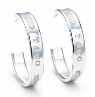Tiffany Earrings (84)