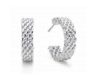 Tiffany Earrings (233)