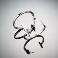 Tiffany Earrings (115)