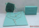Tiffany Necklace (350)