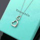 Tiffany Necklace (487)