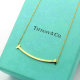 Tiffany Necklace (483)