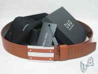 D&G Belt AAA (26)