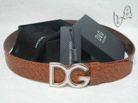 D&G Belt AAA (30)