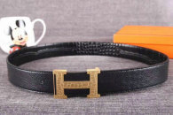 Hermes Belt 1:1 Quality (434)