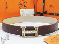 Hermes Belt 1:1 Quality (149)