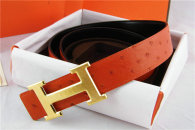 Hermes Belt 1:1 Quality (631)
