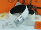 Hermes Belt 1:1 Quality (105)