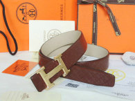 Hermes Belt 1:1 Quality (607)