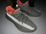 Authentic Y 350 V2 “Desert Sage”