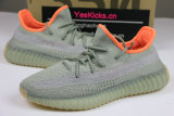 Authentic Y 350 V2 “Desert Sage”