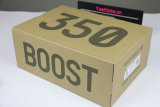 Authentic Y 350 V2 “Desert Sage”