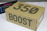Authentic Y 350 V2 “Marsh”