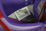 Nike SB Dunk Low “Plum” (women)