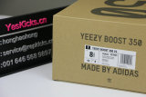 Authentic Y 350 V2 “Marsh”