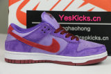 Nike SB Dunk Low “Plum” (women)