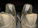 Authentic Y 350 V2 “Flax”
